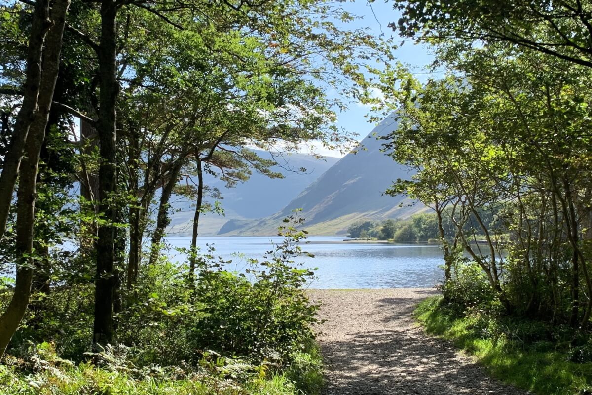 Crummock-Water-from-Lanthwaite-Wood The Sun is out - time to picnic
