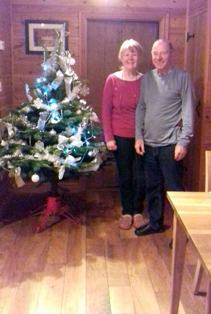 Christmas Tree in Fieldfare Lodge