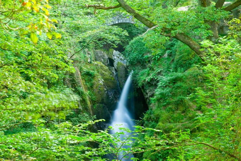 Dog-Friendly Lake District Walks | The Tranquil Otter