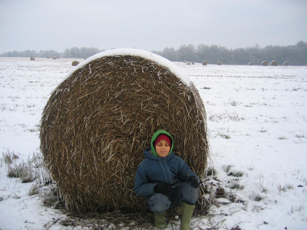 Enjoy Christmas and New Year in Cumbria | The Tranquil Otter