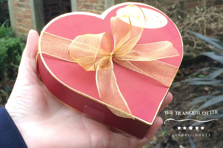Romantic_Leap_chocolates_Tranquil_Otter Romantic Leap