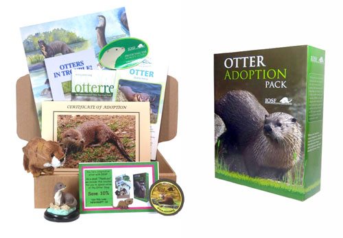 Adopt an Otter and support the work of International Otter Survival Fund