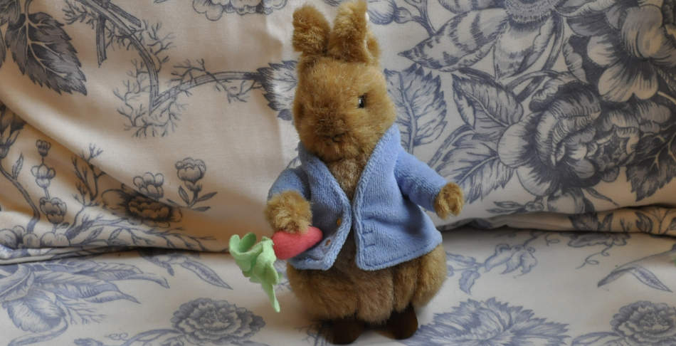 Peter_Rabbit_web Things to do over the Summer
