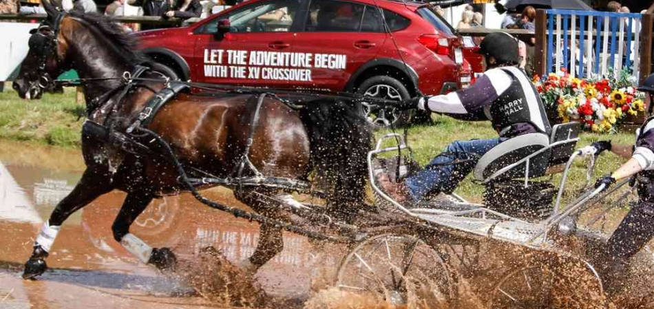 lowther-show Things to do over the Summer