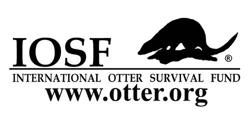 IOSF_logo_sml Fascinating facts about otters