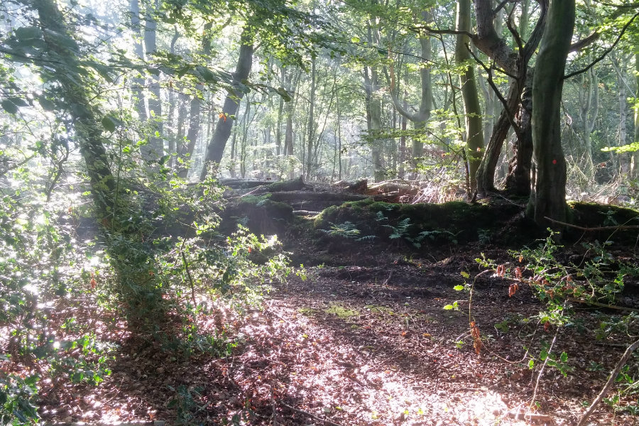 Things to do: Lake District Walks | The Tranquil Otter