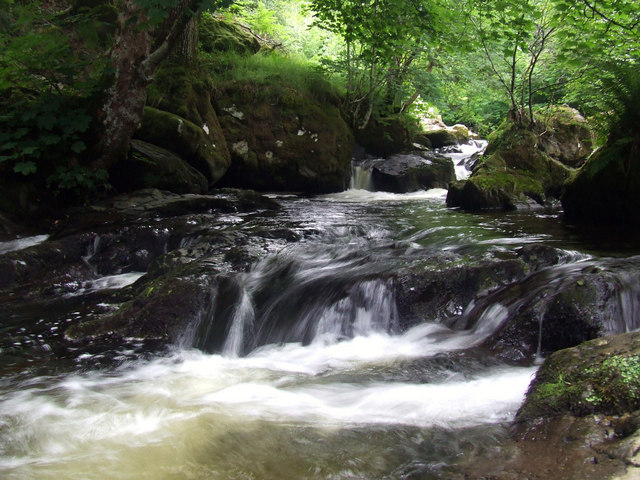 Enjoy the Aira Force Tree Trail - the Northern Lake District