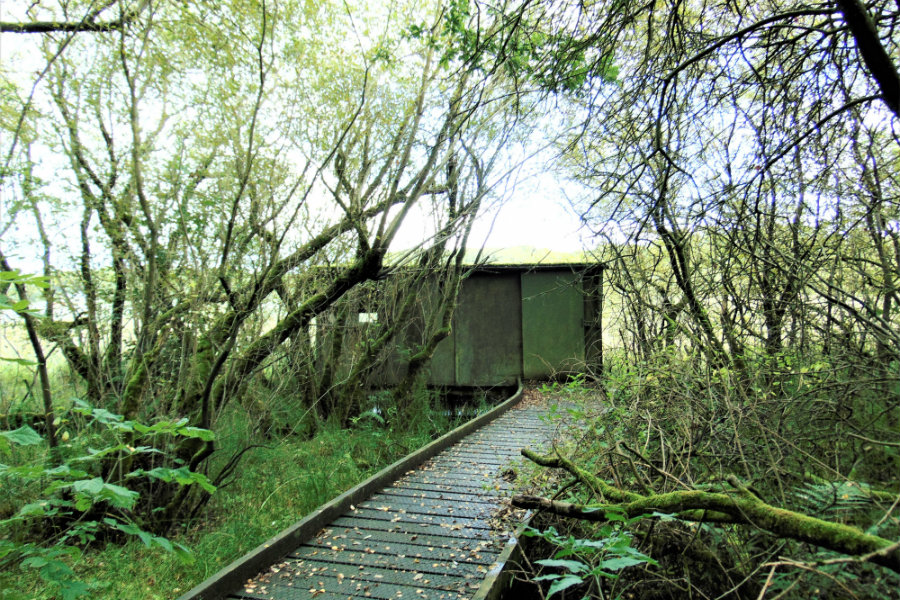 Nature from a Fresh Perspective: Spend some time in our Bird Hide | The Tranquil Otter