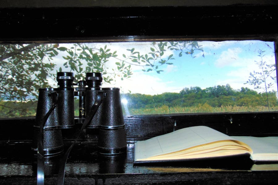 Nature from a Fresh Perspective: Spend some time in our Bird Hide | The Tranquil Otter