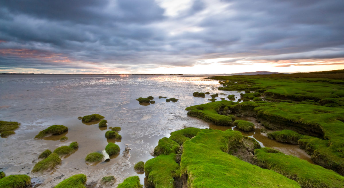 Experience the beauty of the Solway Coast