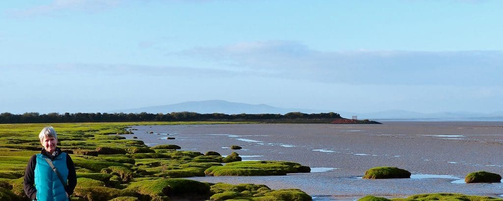Connect with the secrets of Cumbria's Solway Coast | The Tranquil Otter