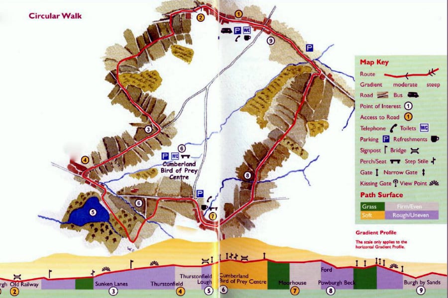 Dog-Friendly Lake District Walks | The Tranquil Otter