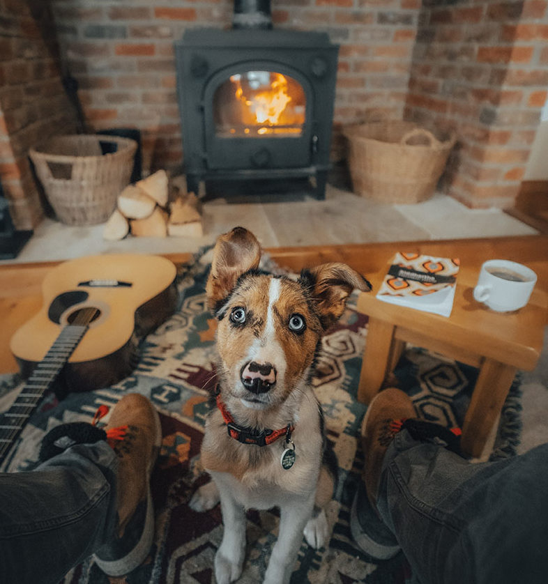 Dog-Friendly Lake District | The Tranquil Otter