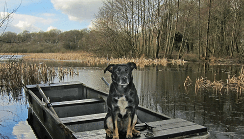 ella-boat Things to do: Lake District Walks