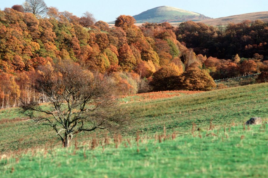 Autumn in the Lake District