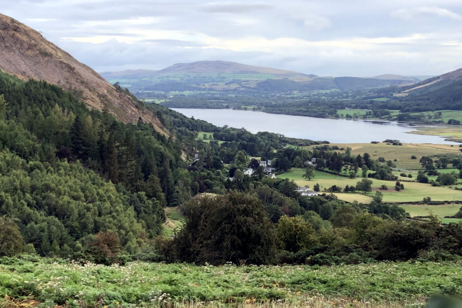 A day out at Whinlatter Forest | The Tranquil Otter