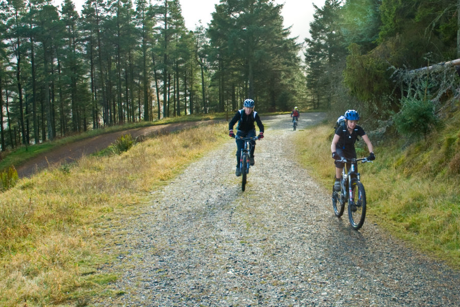 Cycling-whinlatter A day out at Whinlatter Forest