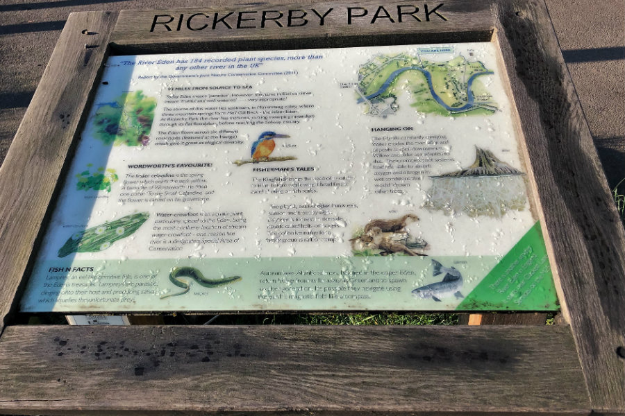 Rickerby Park Carlisle | The Tranquil Otter