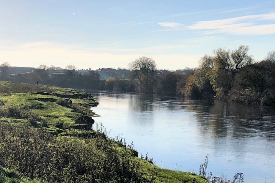 Rickerby Park Carlisle | The Tranquil Otter