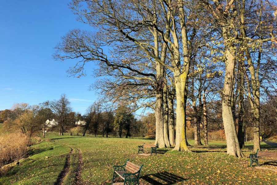 Rickerby Park Carlisle | The Tranquil Otter