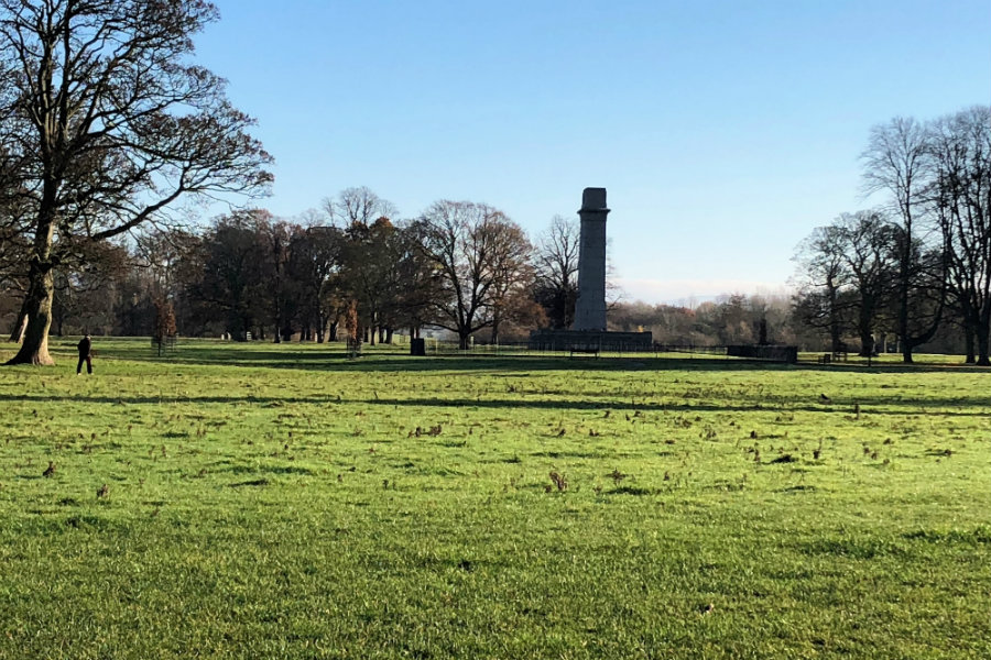 Rickerby Park Carlisle | The Tranquil Otter