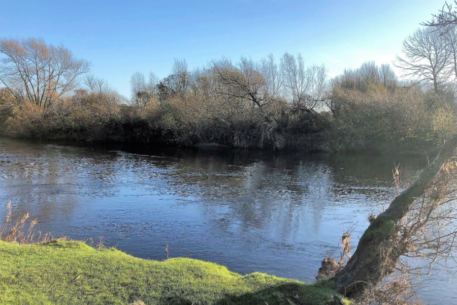 Rickerby Park Carlisle | The Tranquil Otter