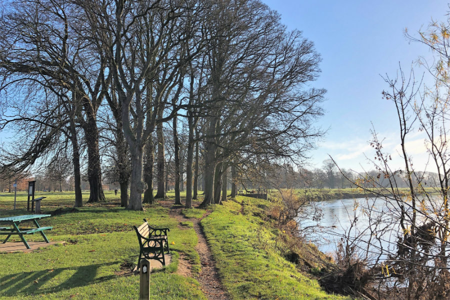 Rickerby Park Carlisle | The Tranquil Otter