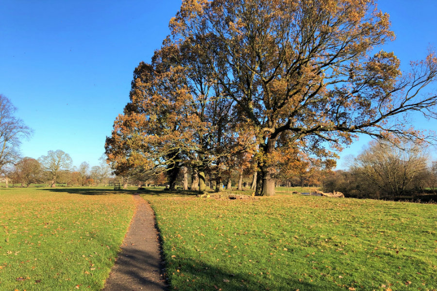 Rickerby Park Carlisle | The Tranquil Otter