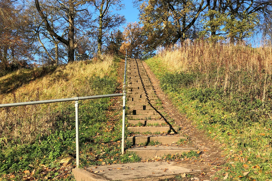 Rickerby Park Carlisle | The Tranquil Otter