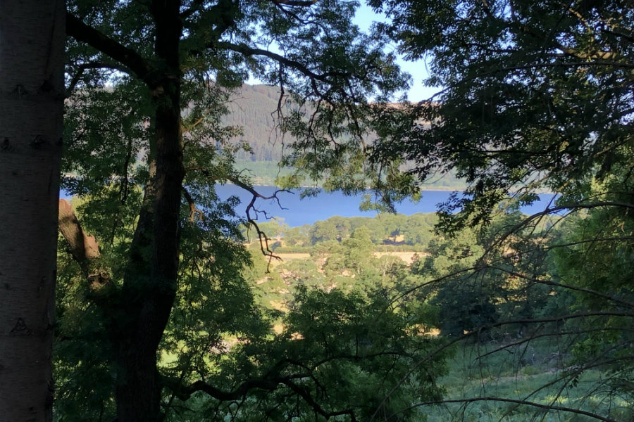 Dodd-Wood-overlooking-Bassenthwaite Propose on Valentine’s Day near the Lake District