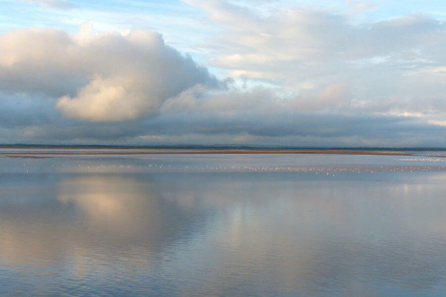 Connect with the secrets of Cumbria's Solway Coast | The Tranquil Otter