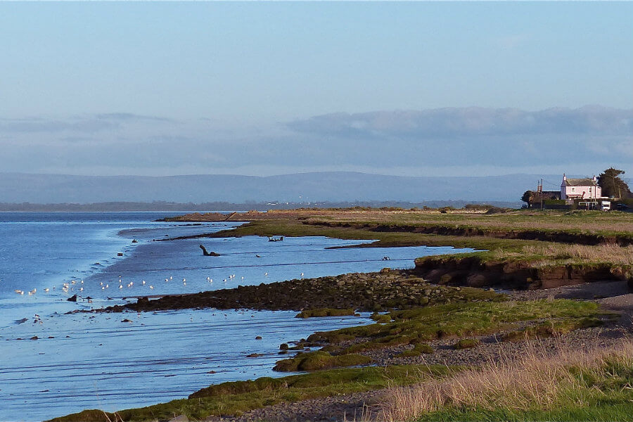 Cumbria's Solway