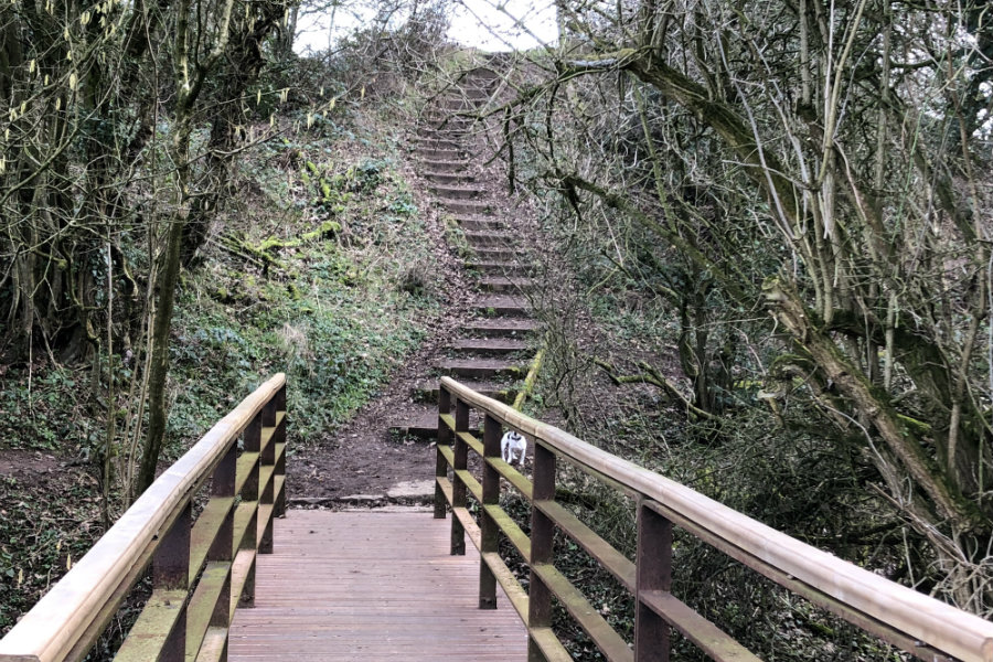 Hadrian's Wall Path from Burgh by Sands to Carlisle | The Tranquil Otter