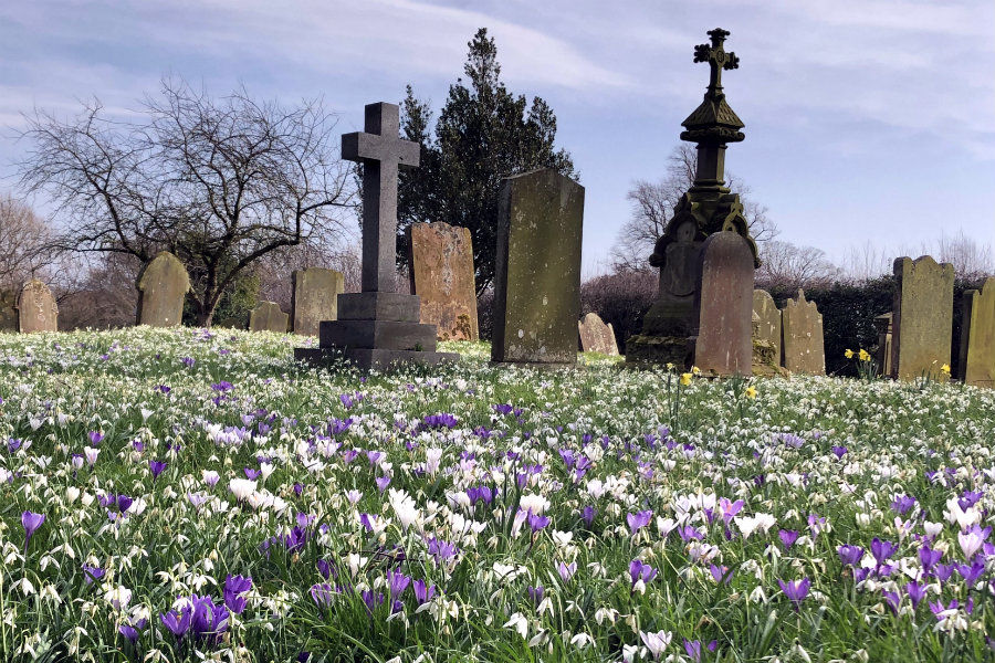 Hadrian's Wall Path from Burgh by Sands to Carlisle | The Tranquil Otter