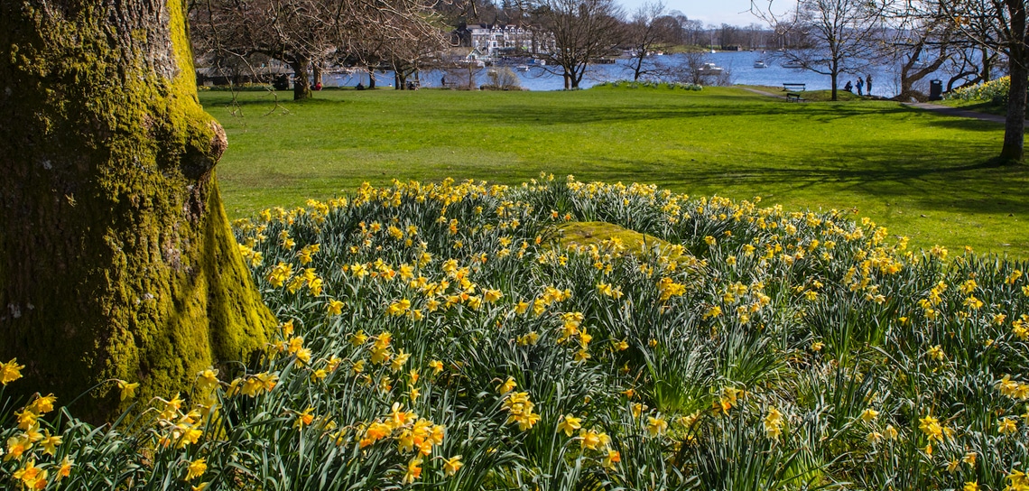 Easter Short Breaks near Lake District | The Tranquil Otter