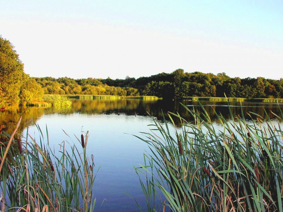 Luxury Lodges near Lake District