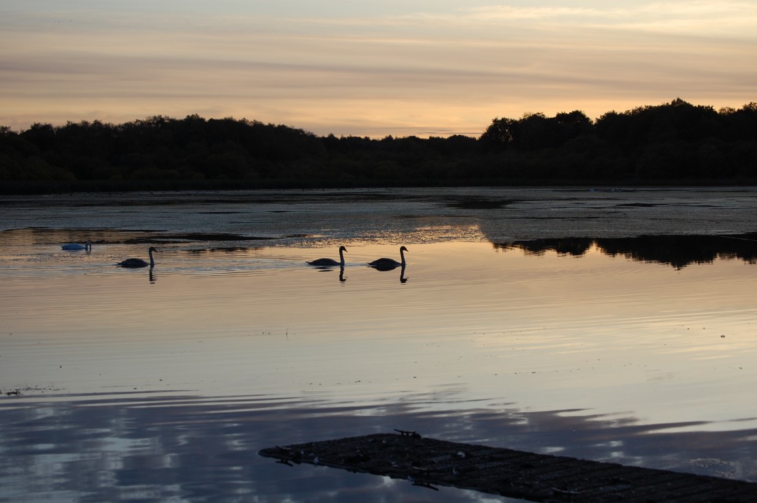 Romantic winter breaks | The Tranquil Otter