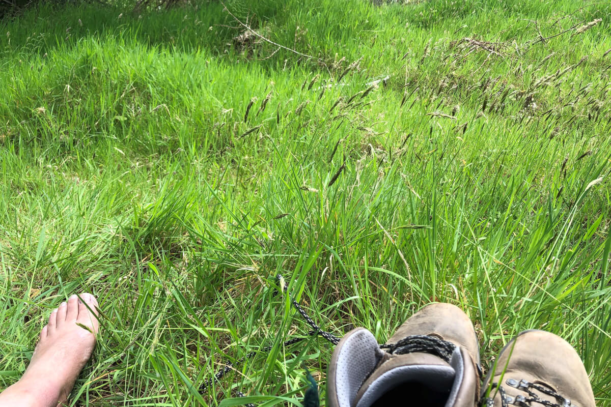 Forest Bathing Whinlatter | The Tranquil Otter