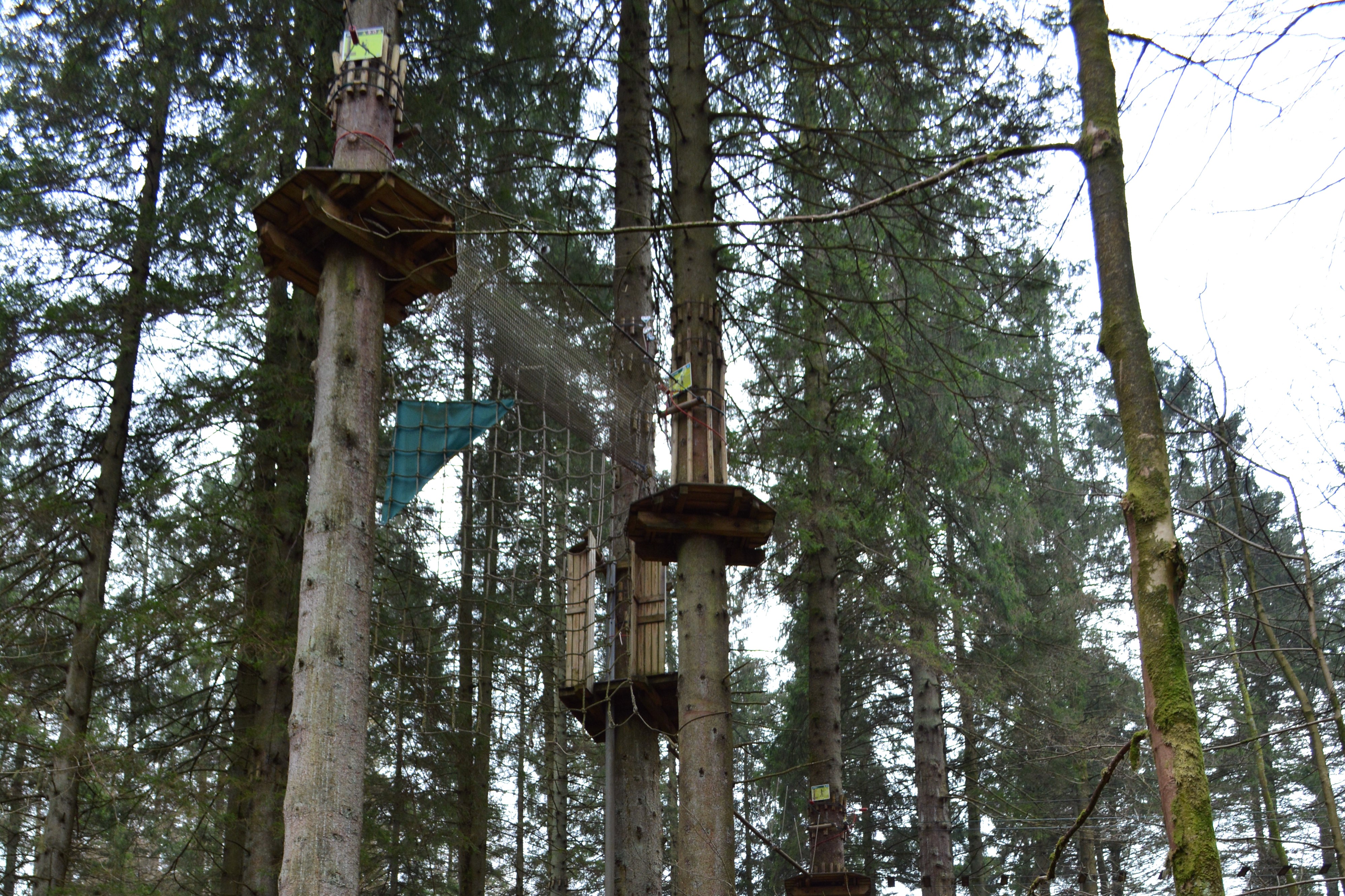 Go-Ape 10 Awesome Outdoor Activities in the Lake District