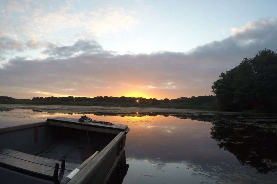 Your Stay | The Tranquil Otter