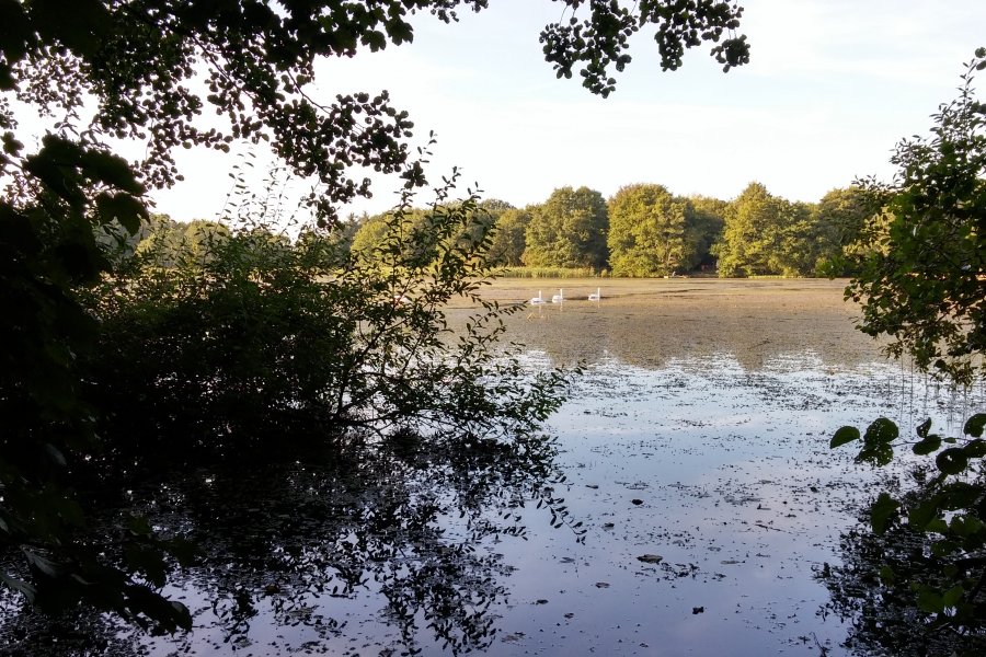 Tranquility-is-nature-e1569241522272 Your Stay