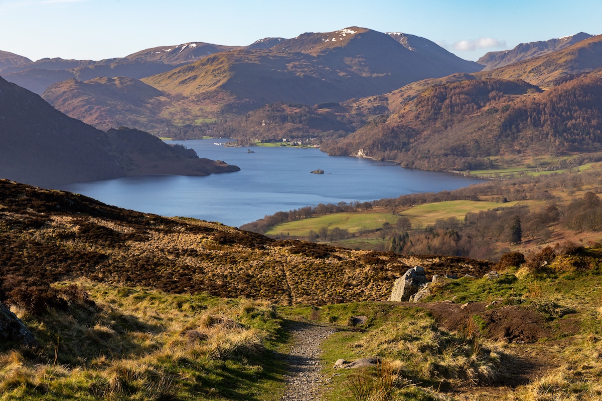 The art of Forest Bathing in Cumbria | The Tranquil Otter