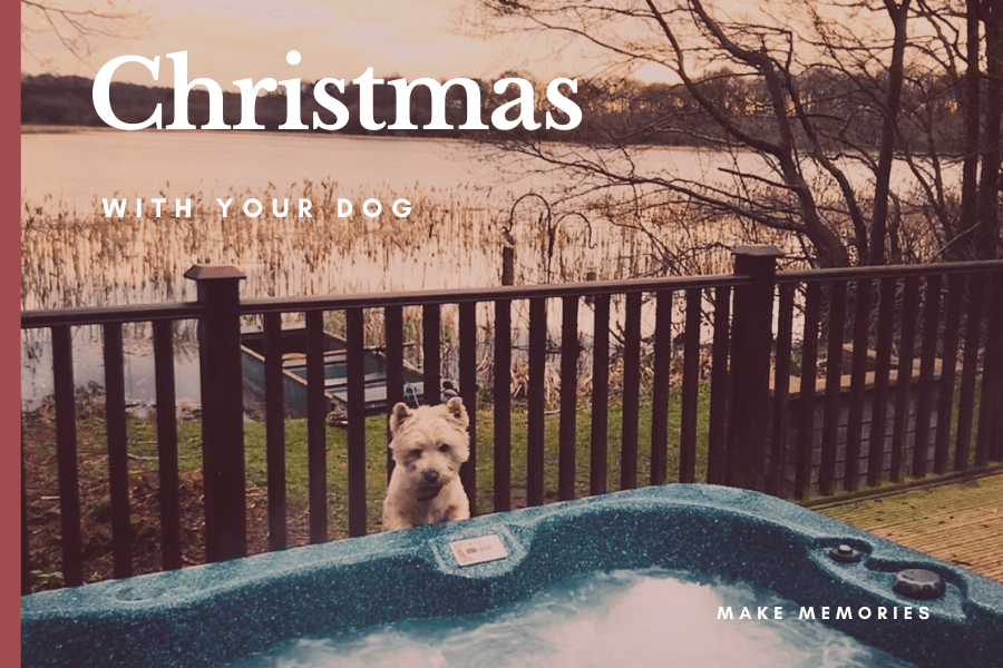 Dog Friendly Christmas Hot tub Holiday