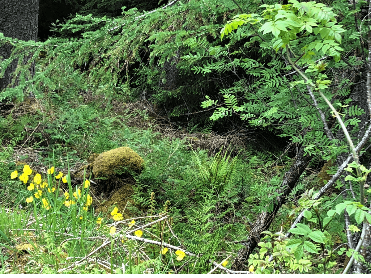 Enjoy spring in the Lake District | The Tranquil Otter