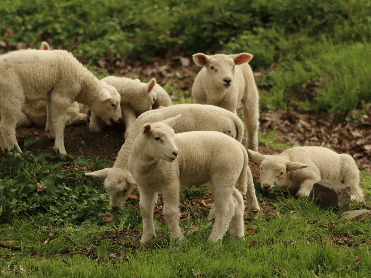 Enjoy spring in the Lake District | The Tranquil Otter