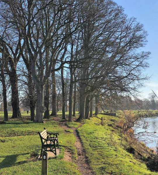 March 2020 Newsletter The Tranquil Otter March 2020 Newsletter The Tranquil Otter