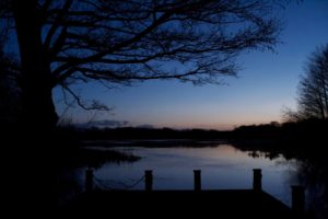 Tranquil Otter Nature Photos | The Tranquil Otter