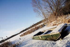 Tranquil Otter Nature Photos | The Tranquil Otter