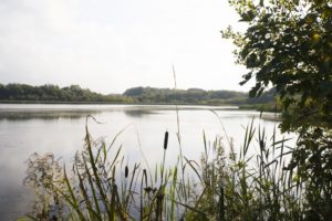 Tranquil Otter Nature Photos | The Tranquil Otter