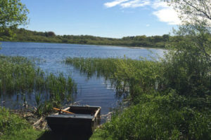 Fieldfare Lodge Picture Gallery | The Tranquil Otter